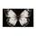 Monochrome Butterfly Motif for Nature Lovers and Serene Contemporary Homes Doormat - 6
