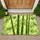 Sunlit Green Bamboo Grove For Calm Nature-Inspired Entryways And Serene Living Doormat - 1