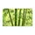 Sunlit Green Bamboo Grove For Calm Nature-Inspired Entryways And Serene Living Doormat - 6