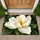White Magnolia Flower on Deep Green for a Calm Nature-Inspired Home Entryway Decor Doormat - 1