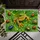 Dewy Green Leaf, Frog and Ladybugs for Nature-Loving Homes and Garden Entryways Doormat - 5