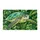 Sea Turtle And Lush Fern Foliage For Coastal Nature Lovers And Tropical Home Style Doormat - 6