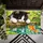 Cute Kitten And Goldfish Cat Lover Entryway Accent For Whimsical Home Decor Gift Idea Doormat - 5
