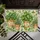 Potted Kitchen Herbs and Greenery for Fresh Farmhouse Cooking and Everyday Home Living Doormat - 5