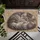 Fluffy Gray Cat Resting Cozy Home Accent for Cat Lovers and Calm Living Spaces Doormat - 5