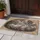 Fluffy Gray Cat Resting Cozy Home Accent for Cat Lovers and Calm Living Spaces Doormat - 4