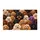 Colorful Poodle Faces for Cozy Pet-Loving Homes and Cheerful Everyday Entryways Doormat - 6