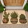 Three Potted Cacti for Southwestern Entryway Style and Houseplant Lover Home Decor Doormat - 1