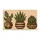 Three Potted Cacti for Southwestern Entryway Style and Houseplant Lover Home Decor Doormat - 6