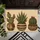 Three Potted Cacti for Southwestern Entryway Style and Houseplant Lover Home Decor Doormat - 5