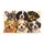 Six Adorable Puppy Faces for Cozy Pet-Loving Homes, Entryways, and Kitchens Doormat - 6