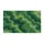 Green Topographic Contour Lines for Calm Nature-Inspired Entryways and Modern Interiors Doormat - 6