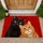 Black And Ginger Cats Peeking Together For A Cozy Cat Lover Home Entryway Charm Doormat - 1