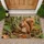 Red Squirrel Holding Pinecone for Cozy Woodland Autumn Home Entryway Seasonal Decor Doormat - 1