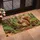 Red Squirrel Holding Pinecone for Cozy Woodland Autumn Home Entryway Seasonal Decor Doormat - 2