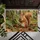 Red Squirrel Holding Pinecone for Cozy Woodland Autumn Home Entryway Seasonal Decor Doormat - 5