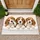 Three Beagle Puppies in Bathtub for Cozy Pet Lover Home Entryway and Laundry Room Doormat - 1