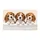 Three Beagle Puppies in Bathtub for Cozy Pet Lover Home Entryway and Laundry Room Doormat - 6