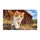 Orange and White Cat Exploring Rustic Barnyard Rocks for Cozy Country Style Living Doormat - 6