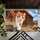 Orange and White Cat Exploring Rustic Barnyard Rocks for Cozy Country Style Living Doormat - 5