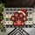 Christmas Santa Hat Paw Print for Festive Pet-Loving Holiday Home Entryways Doormat - 5