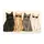 Four Cool Cats Wearing Sunglasses for a Playful Cat Lover's Everyday Home Entryway Doormat - 6