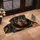 Rottweiler Portrait for Cozy Pet-Loving Homes and Welcoming Everyday Entryways Doormat - 2