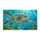 Sea Turtle Swimming in Turquoise Waters for a Serene Coastal Home or Ocean Nature Lover Doormat - 6