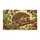 Vintage Hedgehog And Thistle Botanicals For A Cozy Nature-Inspired Autumn Entryway Doormat - 6