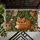 Woodland Fox, Owl And Squirrel For Cozy Nature-Inspired Homes And Forest-Loving Families Doormat - 5