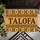 Talofa Samoan Greeting With Polynesian Floral Motifs for Island Home Style Doormat - 5