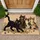 Playful Cat Family Gathering For Cozy Pet Lover Homes And Cheerful Everyday Living Doormat - 1