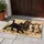 Playful Cat Family Gathering For Cozy Pet Lover Homes And Cheerful Everyday Living Doormat - 4