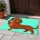Cheerful Cartoon Dachshund for Dog Lovers, Playful Entryway Accent for Pet Families Doormat - 4
