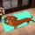 Cheerful Cartoon Dachshund for Dog Lovers, Playful Entryway Accent for Pet Families Doormat - 2