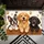 Three Playful Puppies With Paw Prints For A Cheerful Pet-Loving Home Entryway Accent Doormat - 5