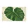 Oversized Green Monstera Leaf for Calm, Nature-Inspired Bathroom Sanctuary Style Doormat - 6