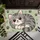 Curled Gray Cat Cartoon for Cozy Cat Lover Homes and Relaxed Everyday Living Doormat - 5