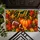 Autumn Pumpkin, Football and Maple Leaves for Cozy Thanksgiving Farmhouse Entryway Style Doormat - 5