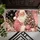 Pink Santa With Ornament Tree for Elegant Vintage Christmas Home Celebrations Doormat - 5