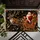 Santa Sleigh And Reindeer Holiday Scene For A Classic Christmas Entryway Celebration Doormat - 5