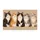 Five Colorful Cartoon Cats for Cozy Cat Lover Homes and Playful Family Spaces Doormat - 6