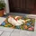 Whimsical Goose and Butterfly Garden for Cheerful Cottage Kitchen and Hallway Decor Doormat - 4