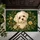 Maltese Puppy and Botanical Florals for Cozy Autumn Homes and Charming Dog-Lover Spaces Doormat - 5