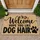 Welcome Dog Hair Saying for Pet Lovers, Playful Entryway Greeting for Dog Owners Doormat - 1