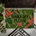 Olive Green Shoes Off Heart and Botanicals for a Welcoming Home Entry Doormat - 5