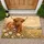 Highland Cow Wildflowers for Cozy Autumn Farmhouse Country Home Entryway Decor Style Doormat - 1