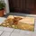 Highland Cow Wildflowers for Cozy Autumn Farmhouse Country Home Entryway Decor Style Doormat - 4