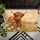Highland Cow Wildflowers for Cozy Autumn Farmhouse Country Home Entryway Decor Style Doormat - 5