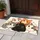 Five Snuggling Cartoon Cats for Cozy Cat Lover Homes and Thoughtful Seasonal Gifting Doormat - 4